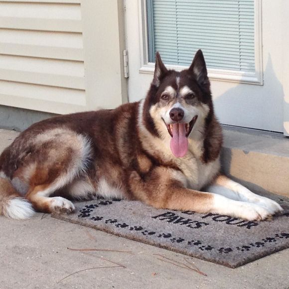 Meet your Posher, Barbara - Picture 1 of 1